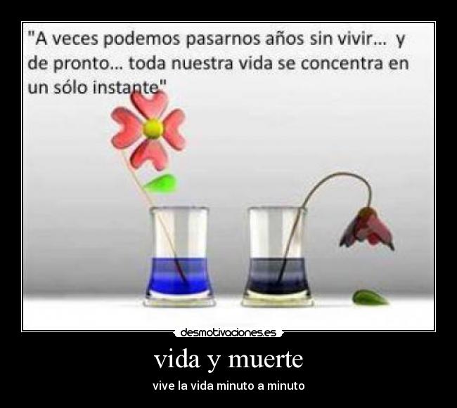 vida y muerte - vive la vida minuto a minuto