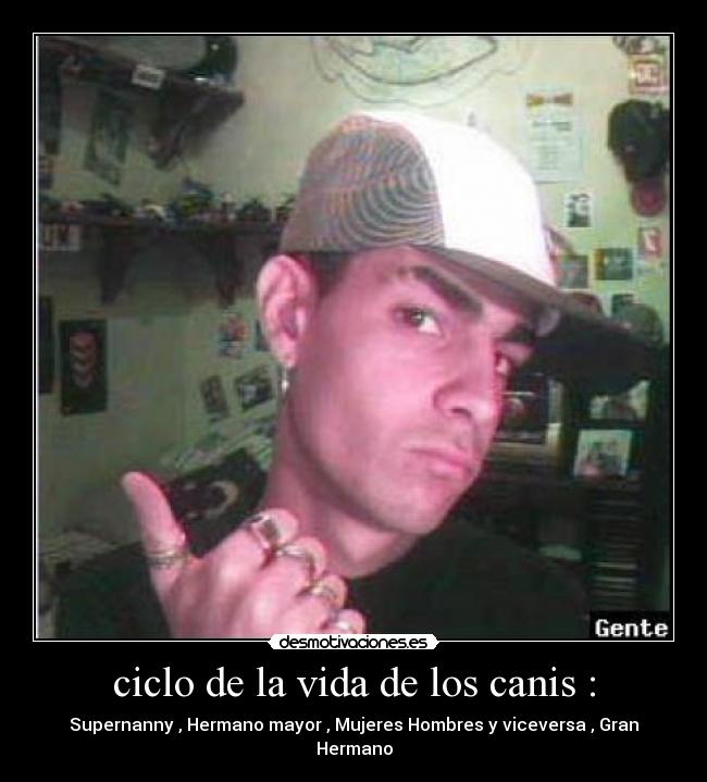ciclo de la vida de los canis : -