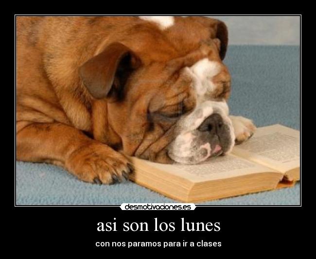 asi son los lunes - con nos paramos para ir a clases