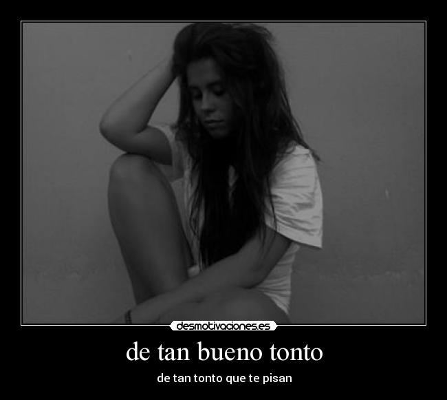 carteles tonto desmotivaciones