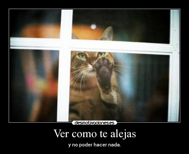 Ver como te alejas - 