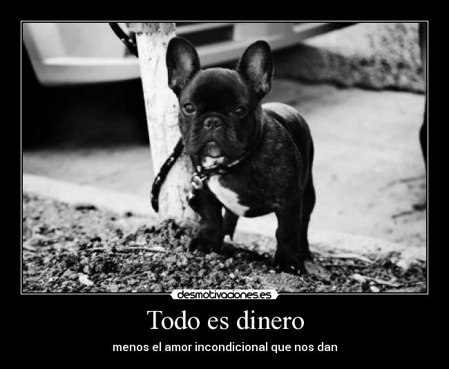 Todo es dinero - menos el amor incondicional que nos dan