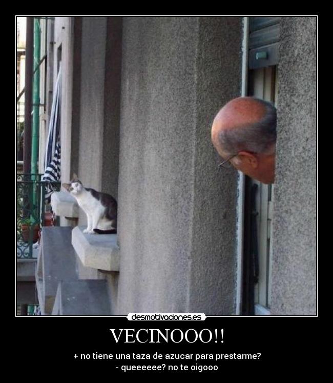 VECINOOO!! -