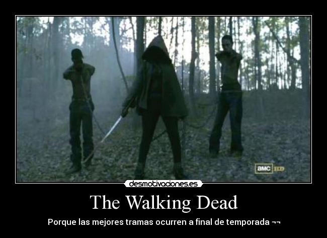 carteles the walking dead desmotivaciones