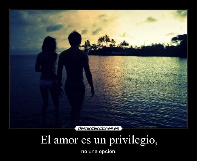 El amor es un privilegio, -
