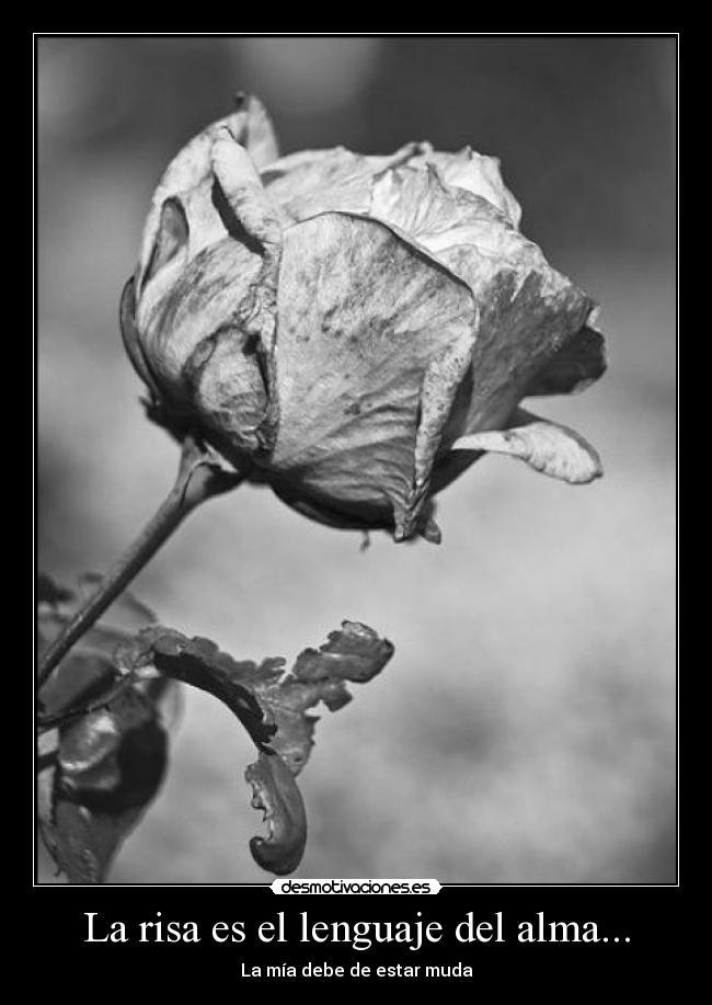 La risa es el lenguaje del alma... - La mía debe de estar muda