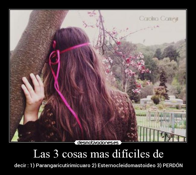 Las 3 cosas mas difíciles de - decir : 1) Parangaricutirimícuaro 2) Esternocleidomastoideo 3) PERDÓN