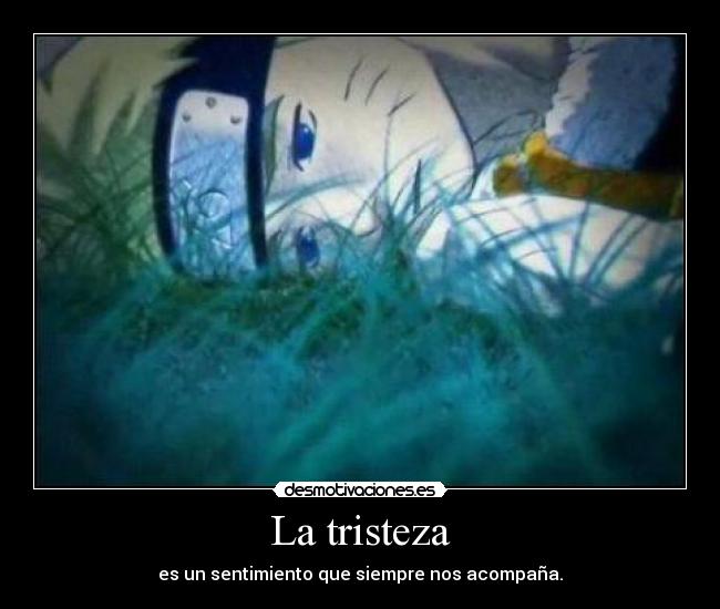 La tristeza - es un sentimiento que siempre nos acompaña.