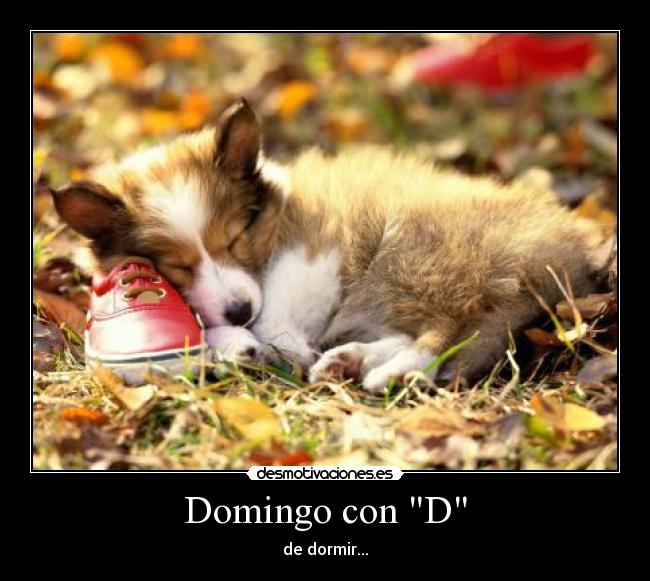 Domingo con D - de dormir...