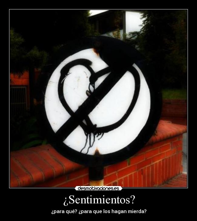 ¿Sentimientos? -