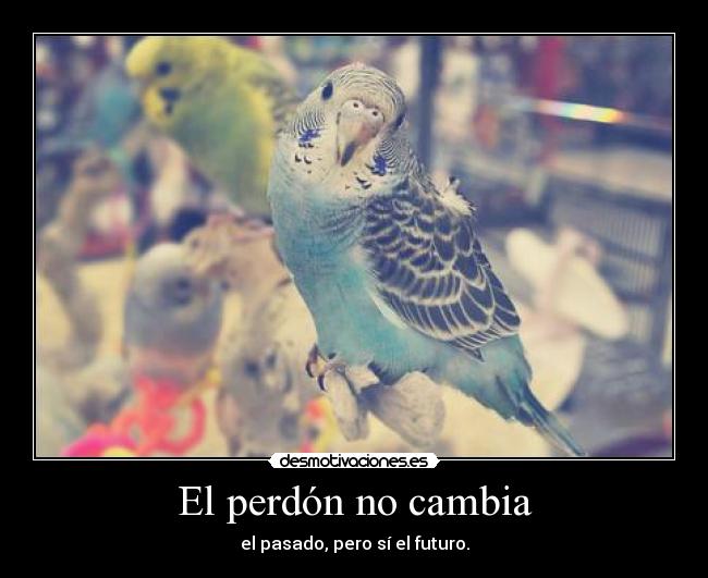El perdón no cambia - el pasado, pero sí el futuro.