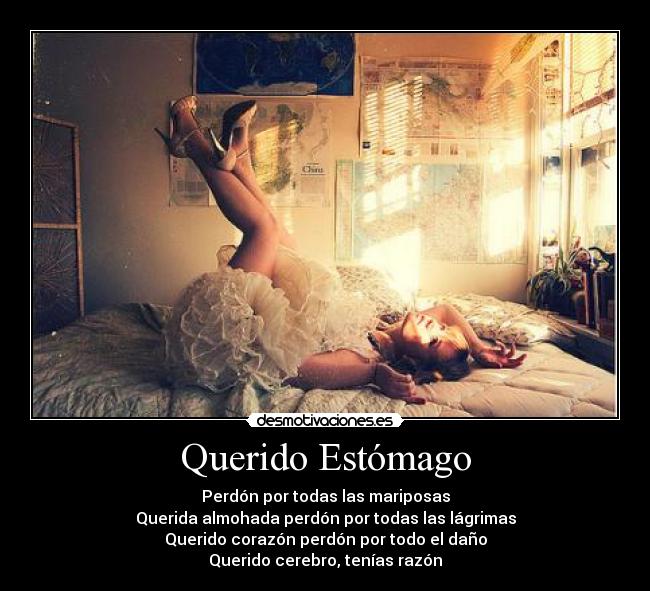 Querido Estómago - Perdón por todas las mariposas
Querida almohada perdón por todas las lágrimas
Querido corazón perdón por todo el daño
Querido cerebro, tenías razón