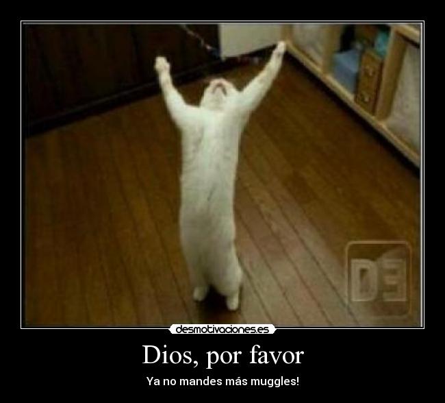 Dios, por favor - Ya no mandes más muggles!
