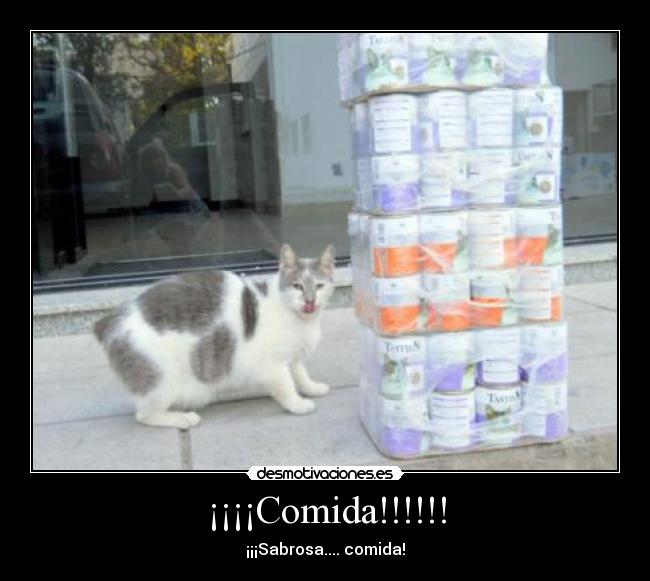 ¡¡¡¡Comida!!!!!! - 