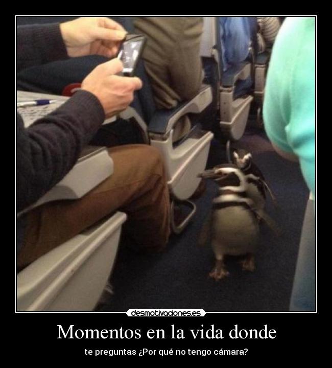 Momentos en la vida donde - 