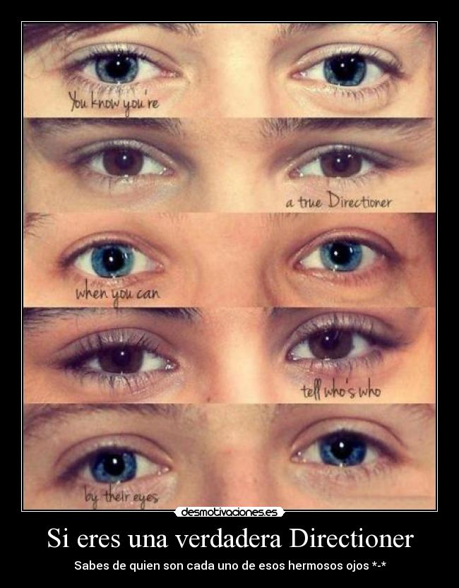 Si eres una verdadera Directioner -