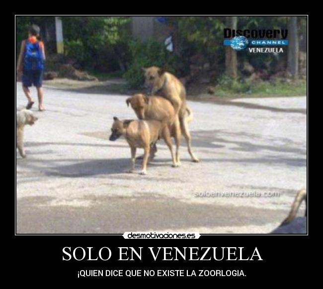 SOLO EN VENEZUELA - ¡QUIEN DICE QUE NO EXISTE LA ZOORLOGIA.