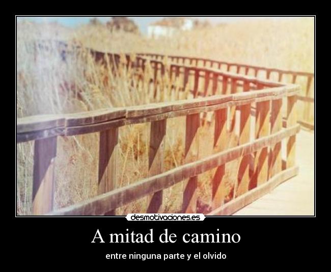 A mitad de camino - 