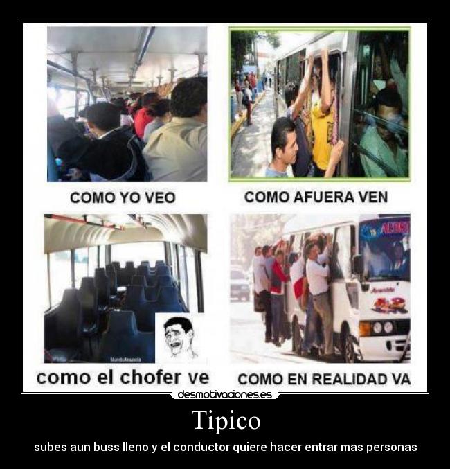 Tipico -
