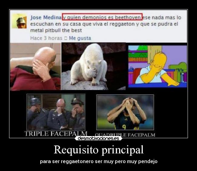 Requisito principal - para ser reggaetonero ser muy pero muy pendejo