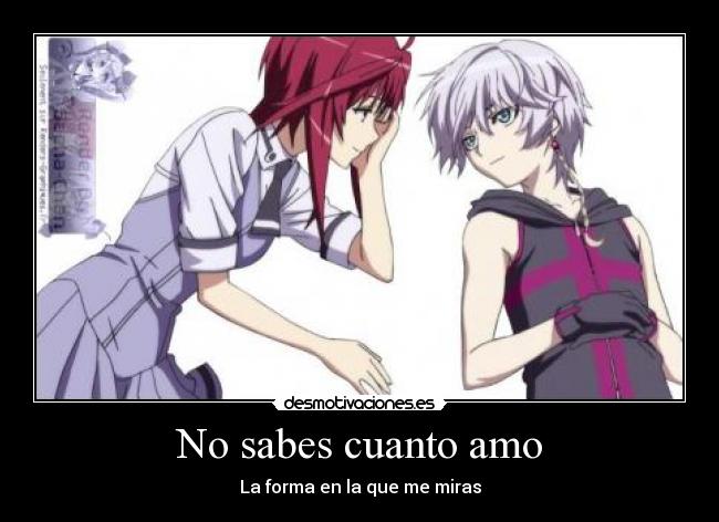 No sabes cuanto amo -