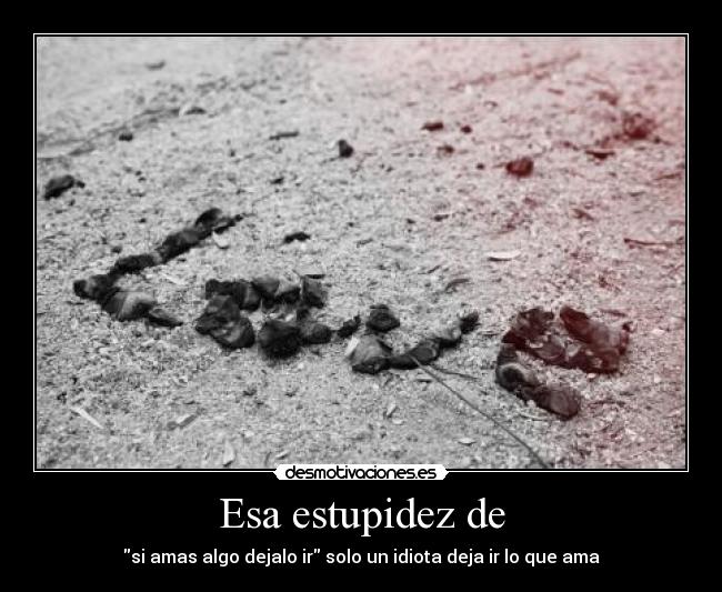 Esa estupidez de - si amas algo dejalo ir solo un idiota deja ir lo que ama