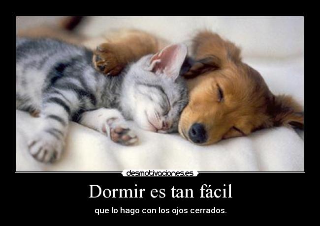Dormir es tan fácil - que lo hago con los ojos cerrados.
