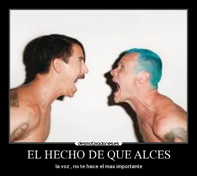 EL HECHO DE QUE ALCES -