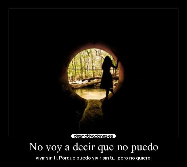 No voy a decir que no puedo - vivir sin ti. Porque puedo vivir sin ti... pero no quiero.