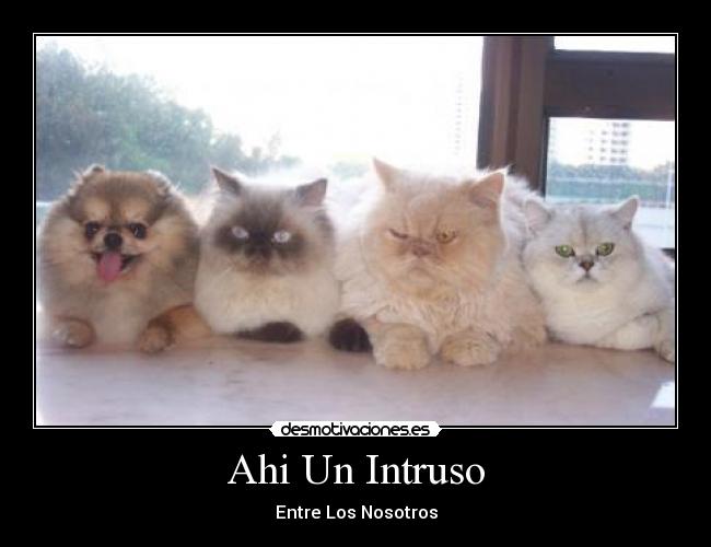 Ahi Un Intruso - 