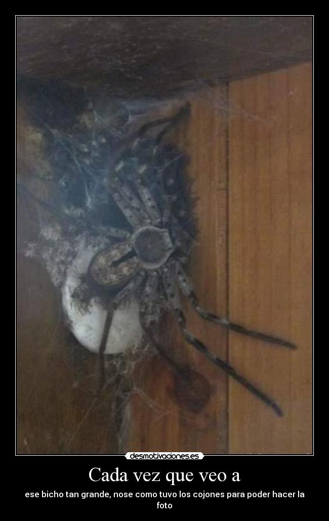 Cada vez que veo a - 