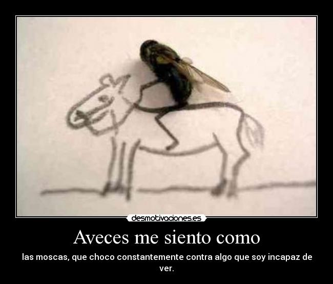 Aveces me siento como - las moscas, que choco constantemente contra algo que soy incapaz de ver.