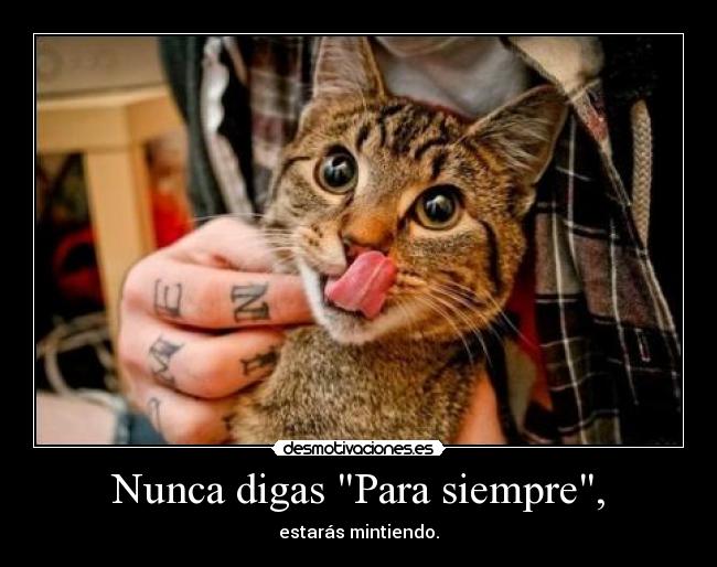 Nunca digas Para siempre, - estarás mintiendo.