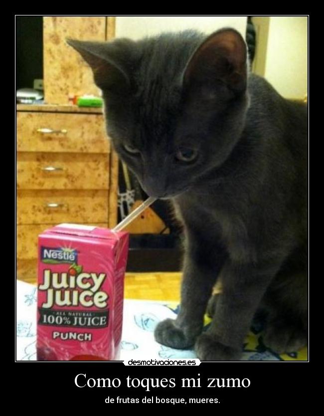 Como toques mi zumo - de frutas del bosque, mueres.