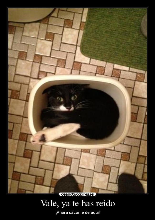 Vale, ya te has reido - ¡Ahora sácame de aquí!