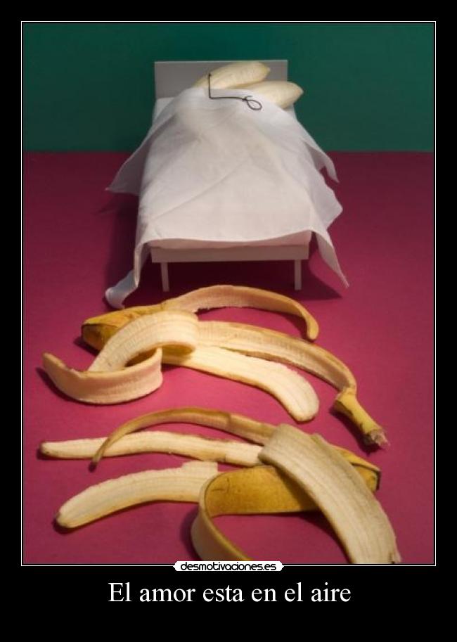 El amor esta en el aire -