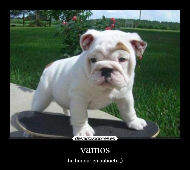 vamos - ha handar en patineta ;)
