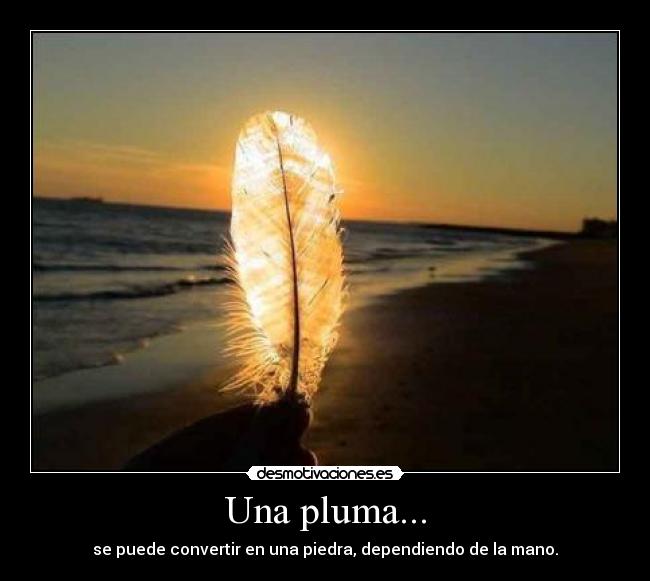 Una pluma... -