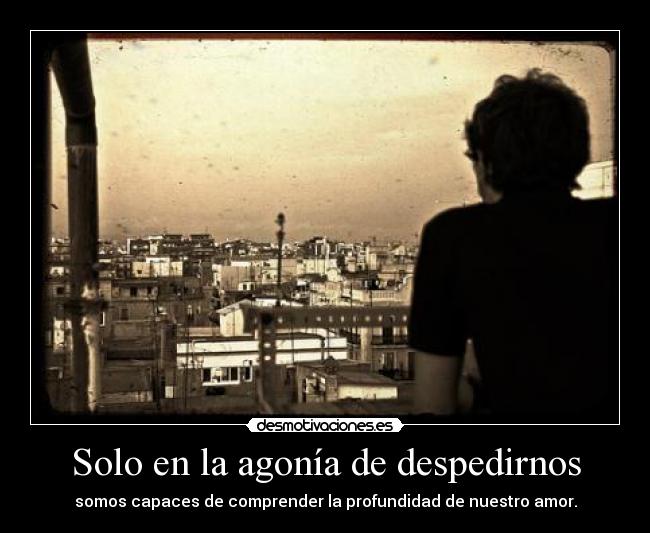 Solo en la agonía de despedirnos - somos capaces de comprender la profundidad de nuestro amor.