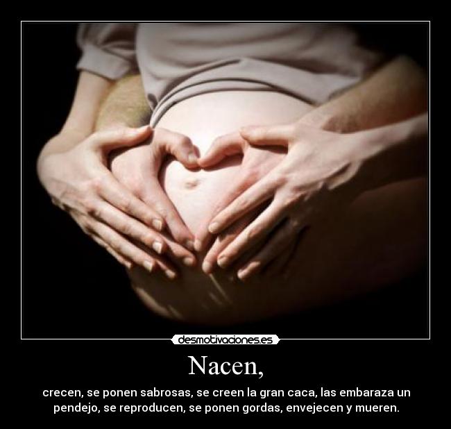 Nacen, - crecen, se ponen sabrosas, se creen la gran caca, las embaraza un
pendejo, se reproducen, se ponen gordas, envejecen y mueren.