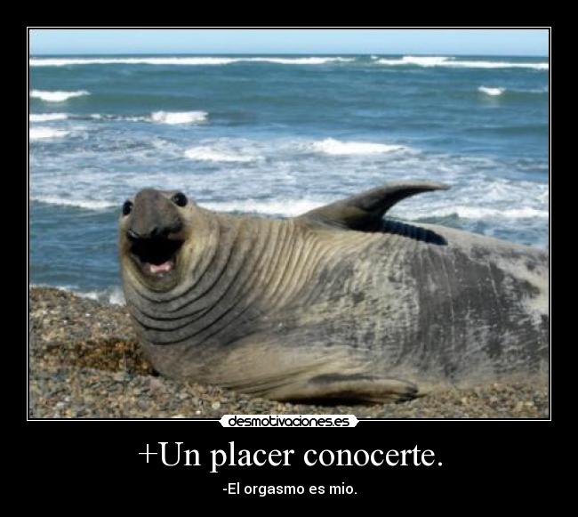 +Un placer conocerte. - 