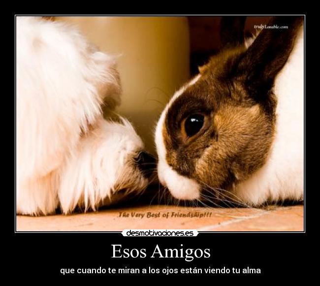 Esos Amigos -
