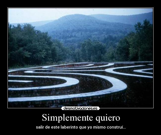 Simplemente quiero - salir de este laberinto que yo mismo construí...