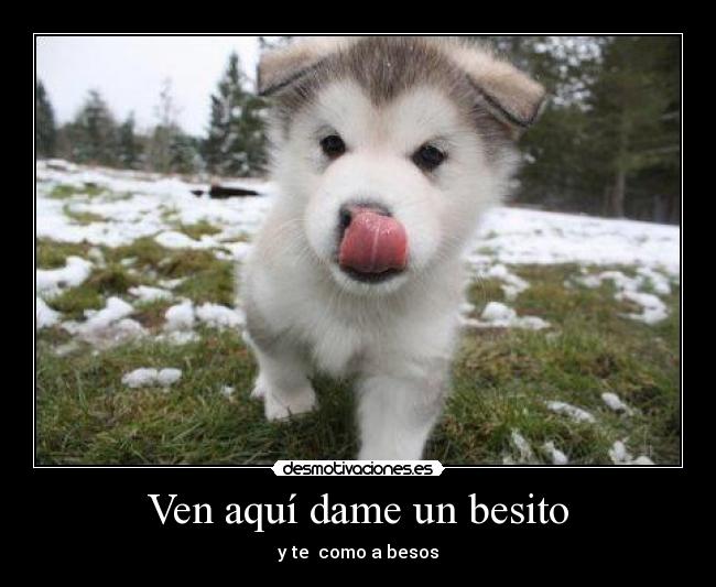 Ven aquí dame un besito -