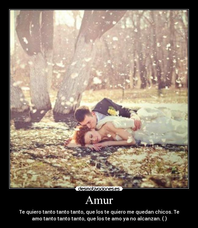 carteles amur desmotivaciones
