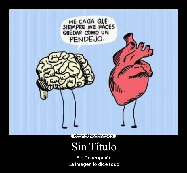 carteles amor pendejo corazon cerebro desmotivaciones