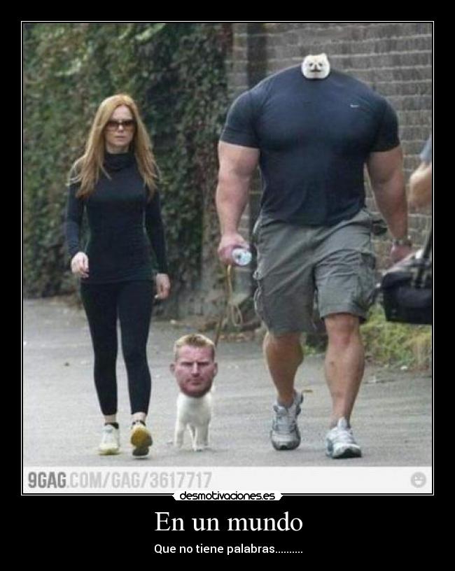 En un mundo - Que no tiene palabras..........