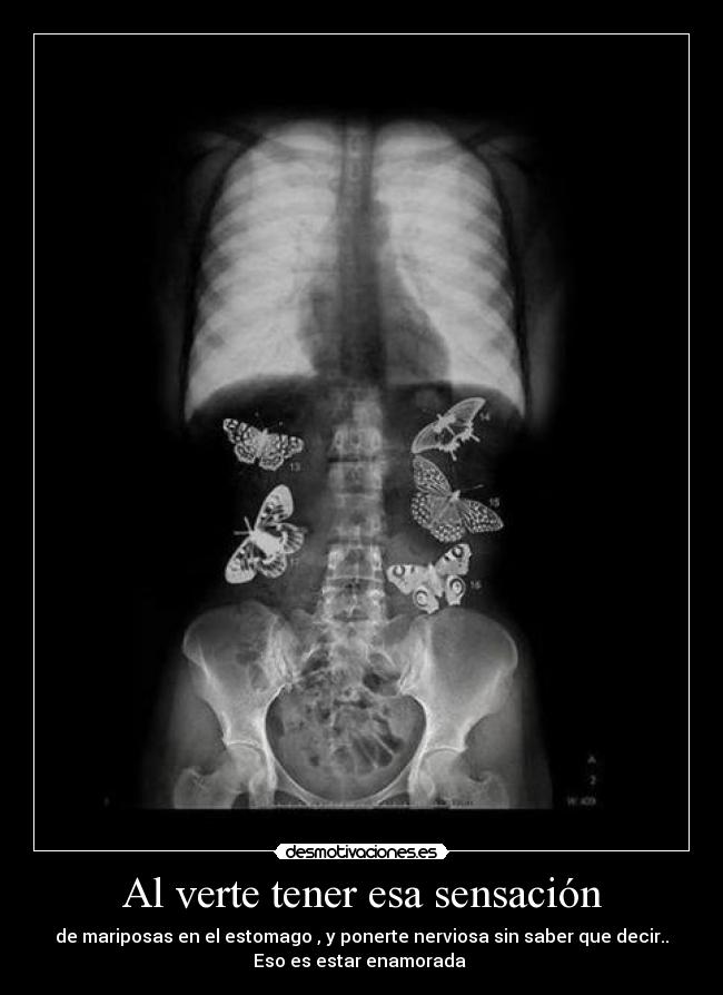 carteles vanne delgado desmotivaciones