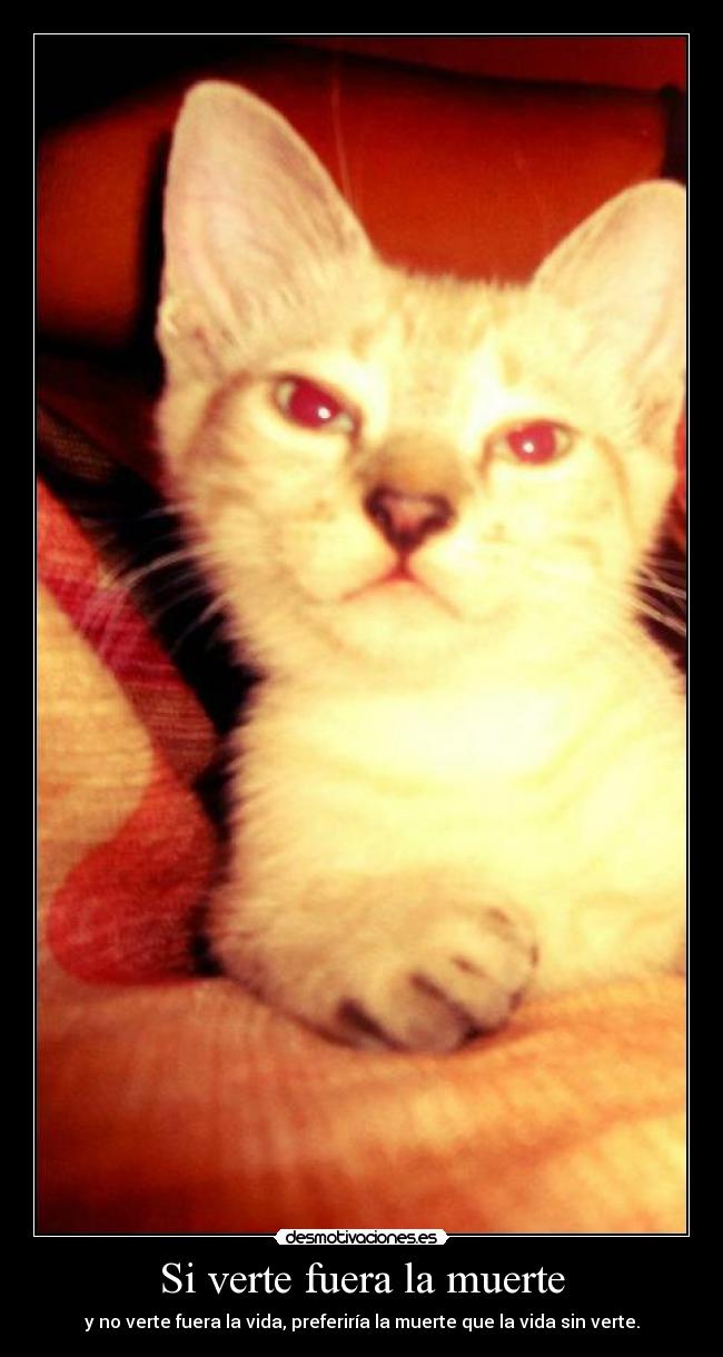 Si verte fuera la muerte - y no verte fuera la vida, preferiría la muerte que la vida sin verte.