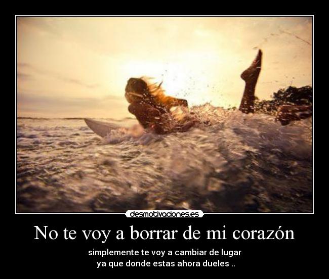 No te voy a borrar de mi corazón - 